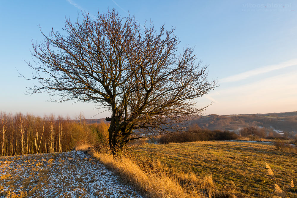 Fot. Witold Ochał, Zagorzyce
