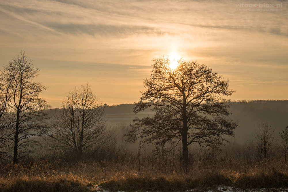 Fot. Witold Ochał, Zagorzyce