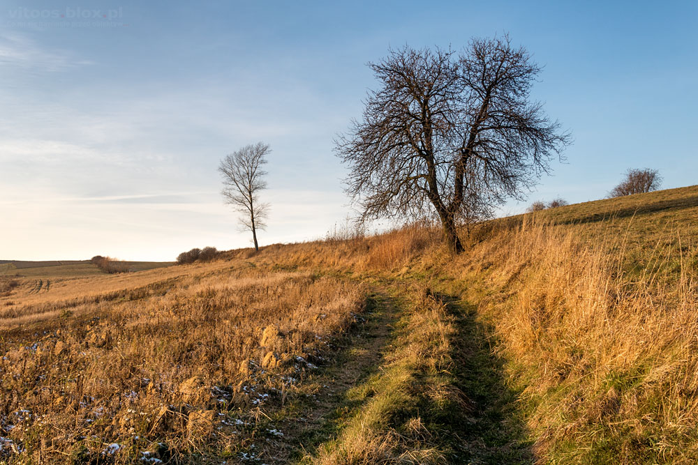 Fot. Witold Ochał, spacerkiem po Zagorzyckich polach