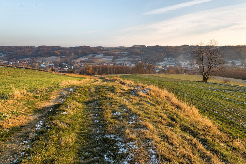 Fot. Witold Ochał, spacerkiem po Zagorzyckich polach