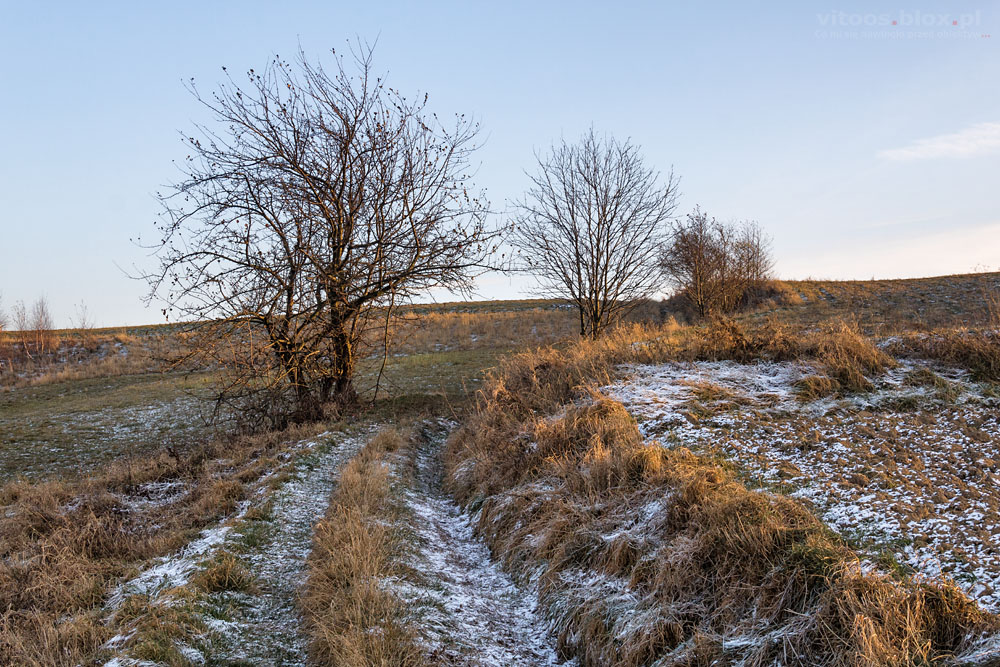 Fot. Witold Ochał, spacerkiem po Zagorzyckich polach