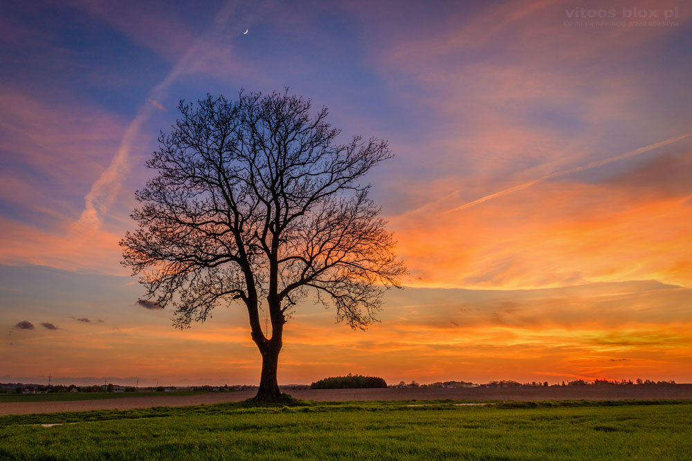 Fot. Witold Ochał, zachód słońca w Górze Ropczyckiej