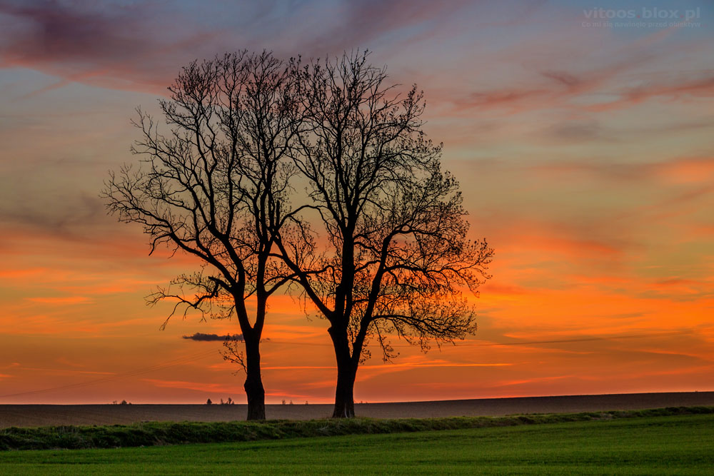 Fot. Witold Ochał, zachód słońca w Górze Ropczyckiej