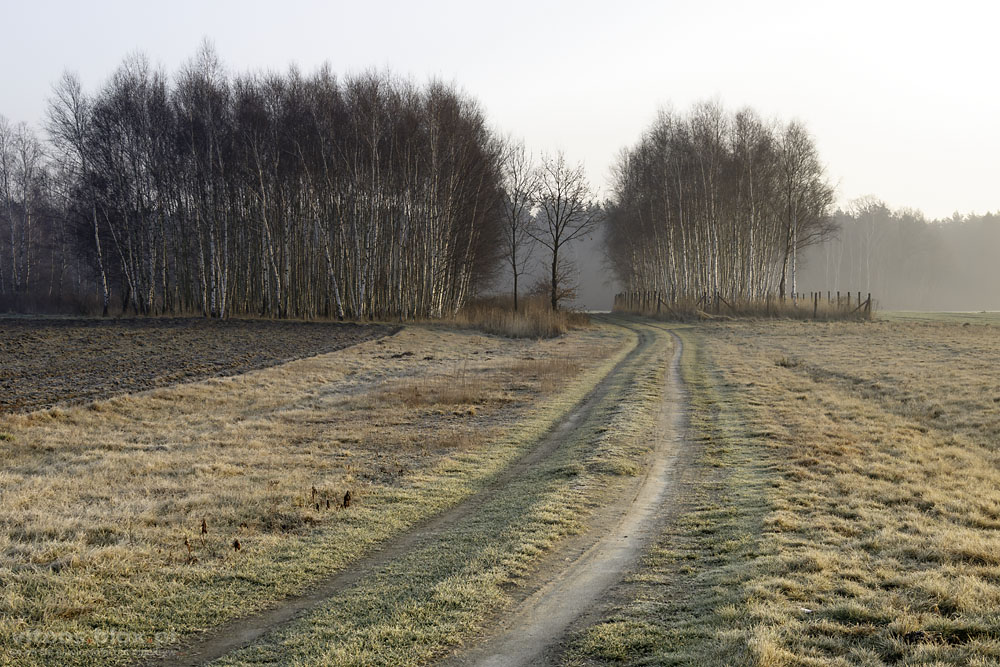 Fot. Witold Ochał, Krzywa