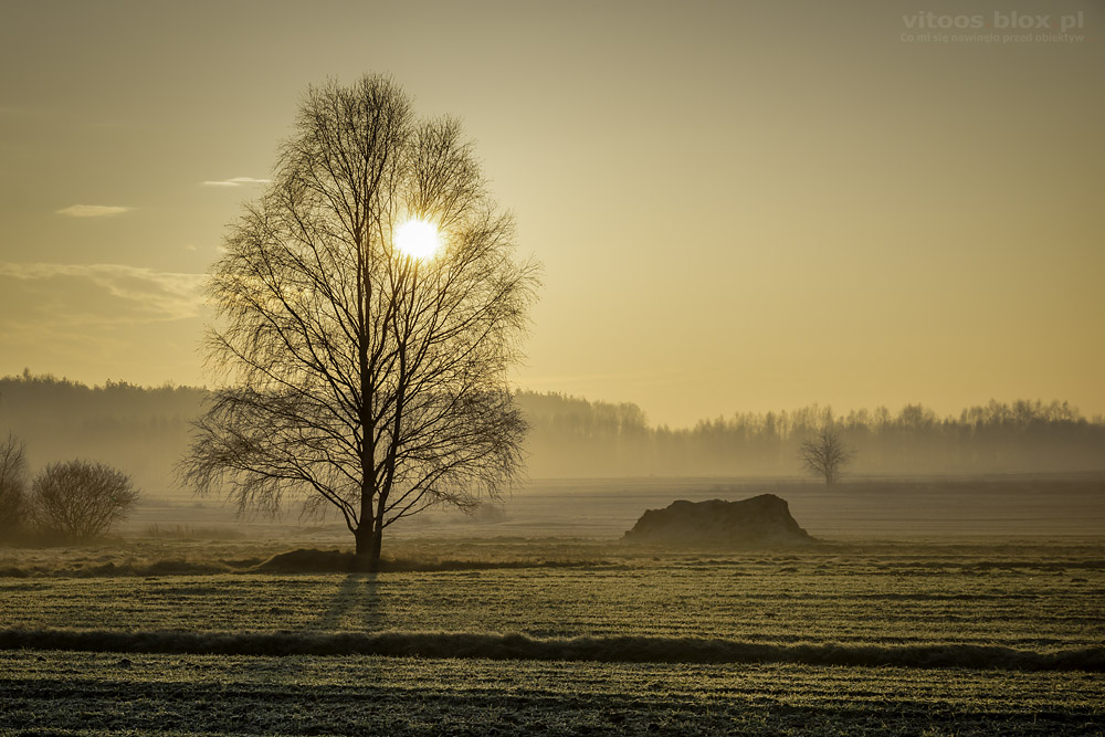 Fot. Witold Ochał, Krzywa