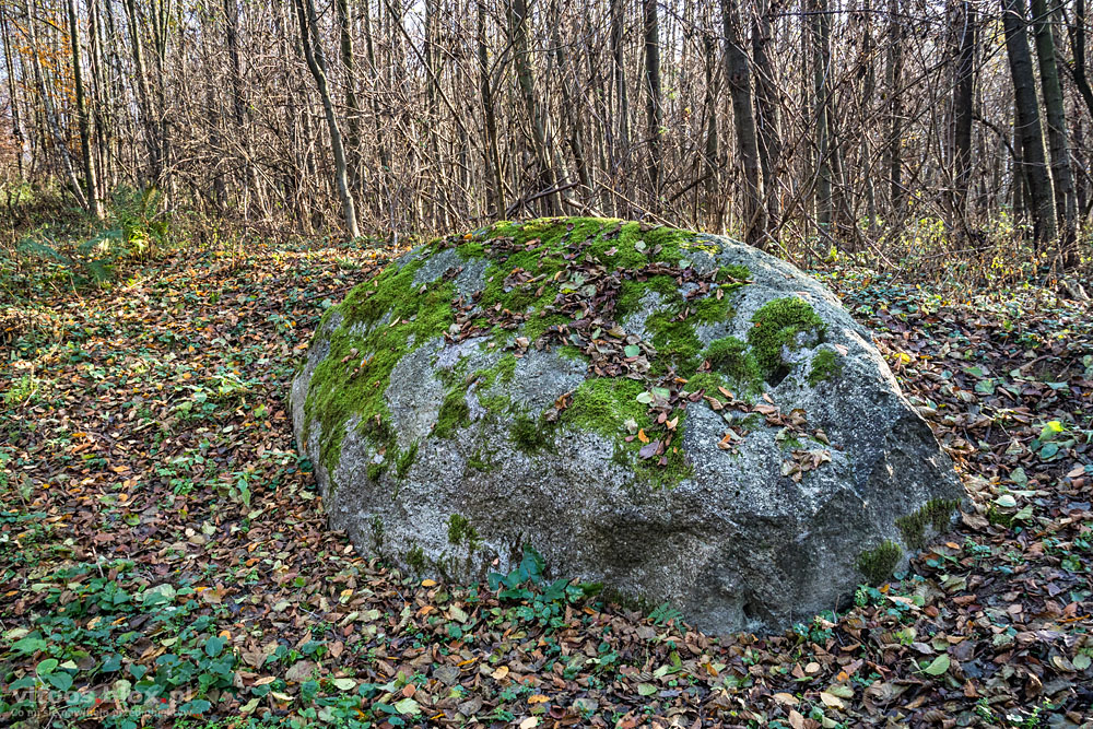 t. Witold Ochał, głaz koło Groblorza, Diabli Kamień
