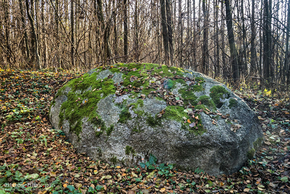 t. Witold Ochał, głaz koło Groblorza, Diabli Kamień