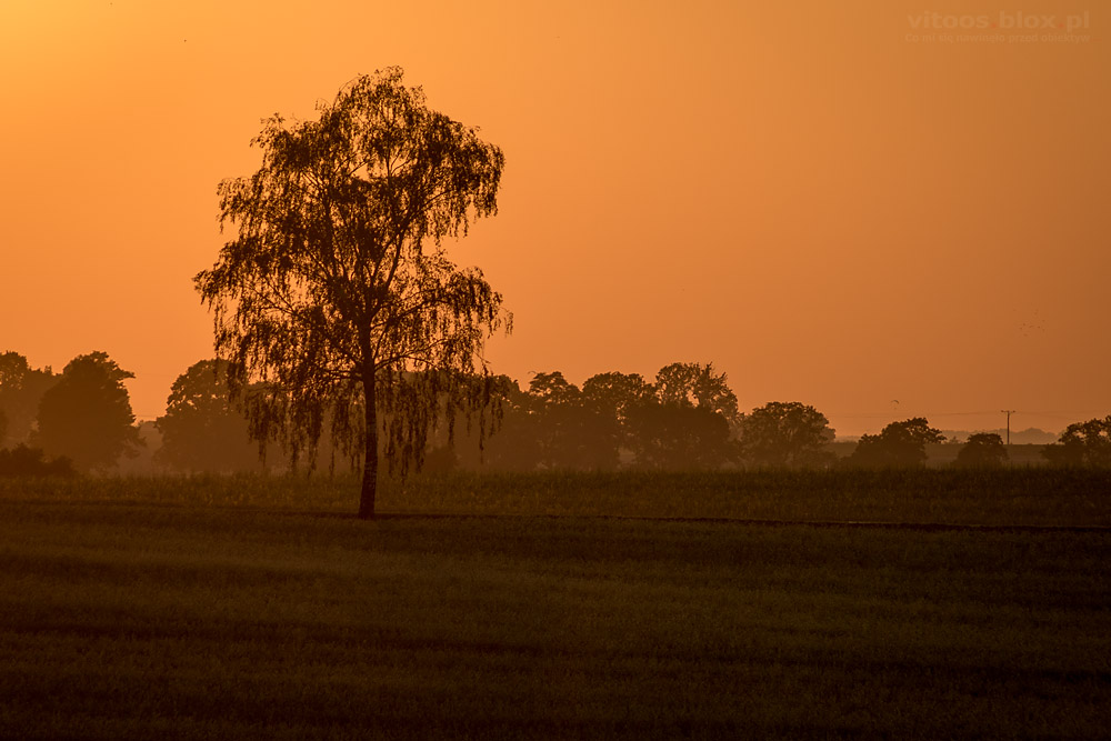 Fot. Witold Ochał, zachody słońca