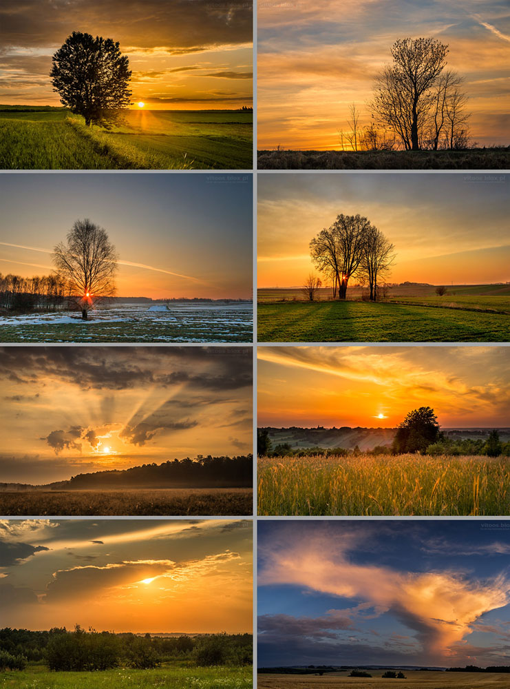 Fot. Witold Ochał, żółte wschody i zachody słońca