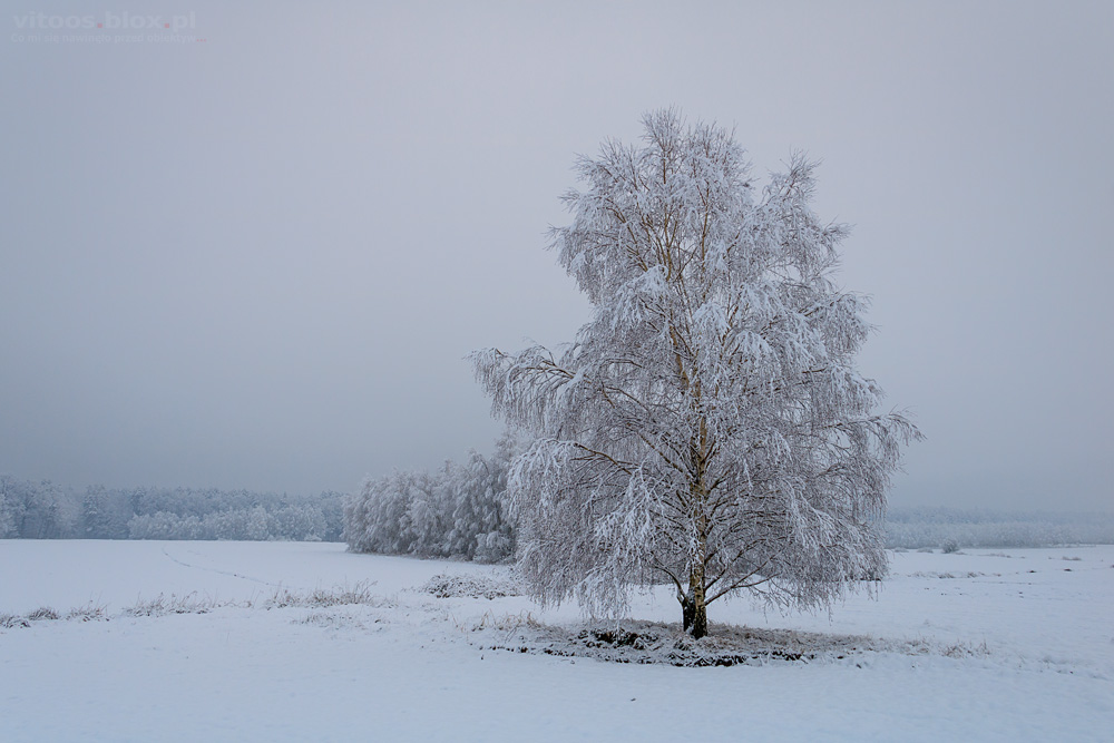 Fot. Witold Ochał, zasypane Podkarpacie