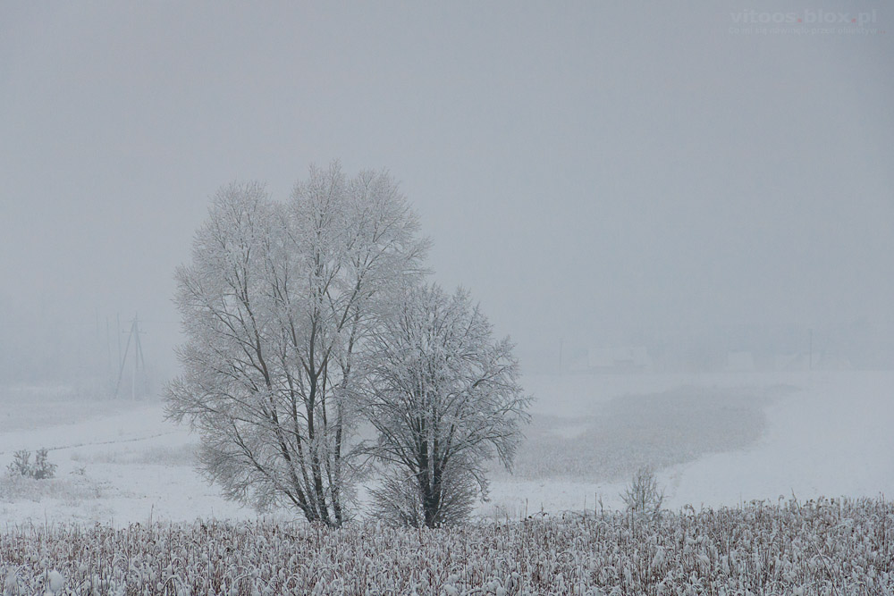 Fot. Witold Ochał, zasypane Podkarpacie