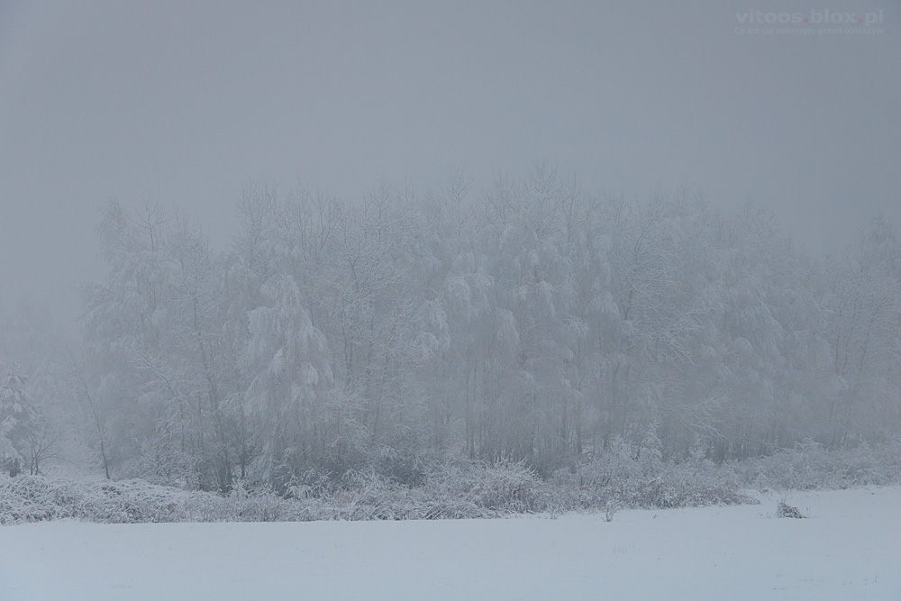 Fot. Witold Ochał, zasypane Podkarpacie