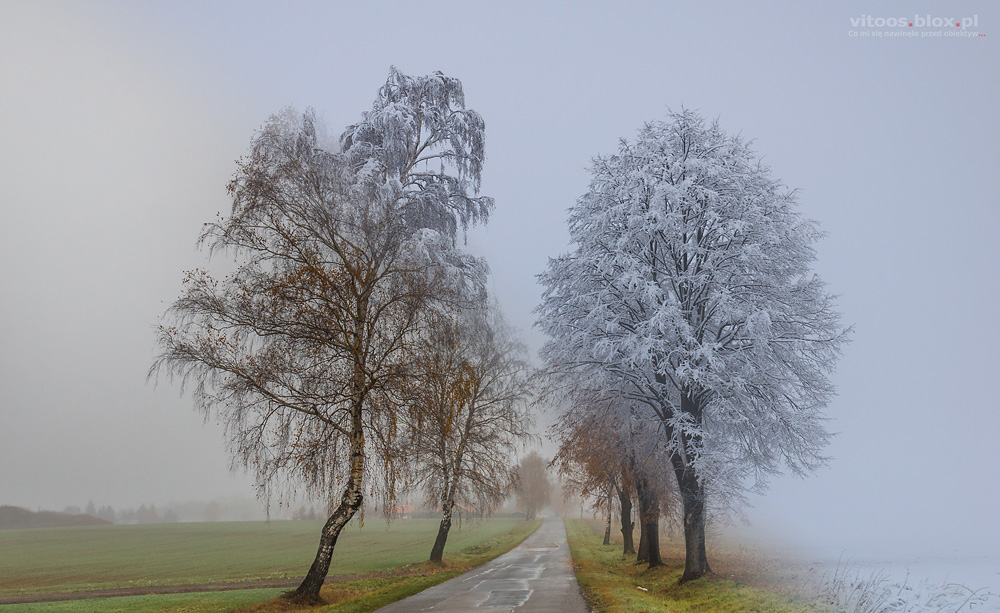 Fot. Witold Ochał wycinki pór roku 