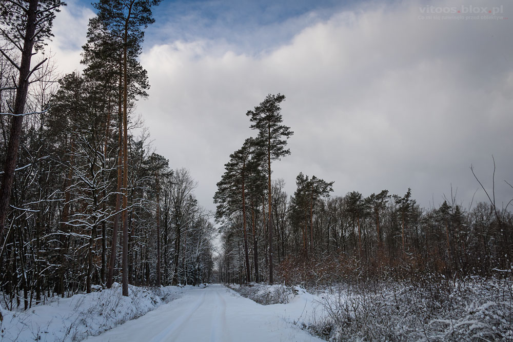 Fot. Witold Ochał, granica zachmurzenia warstwowego stratus