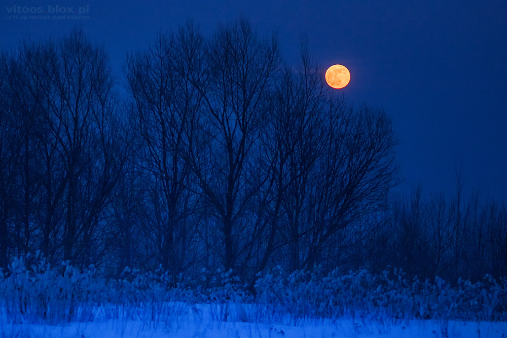 Fot. Witold Ochał, wschód Księzyca w pełni 21.01.2019