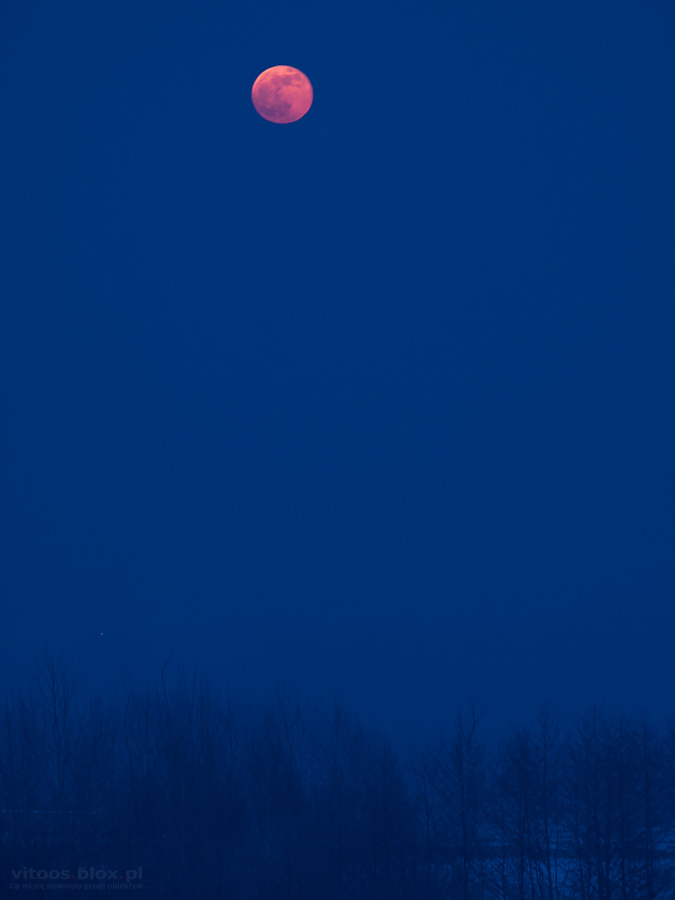 Fot. Witold Ochał, wschód Księzyca w pełni 21.01.2019