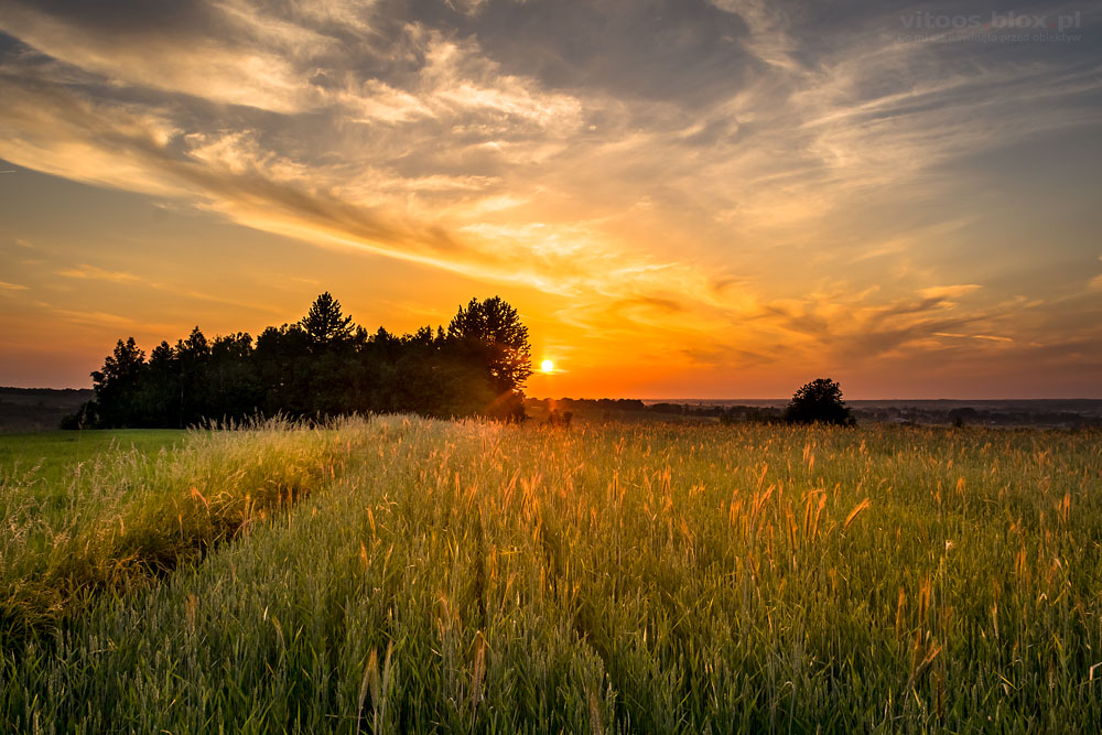 Fot. Witold Ochał, maj zachód słońca