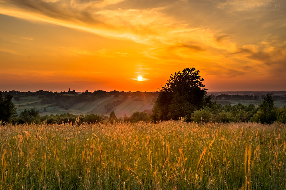 Fot. Witold Ochał, maj zachód słońca