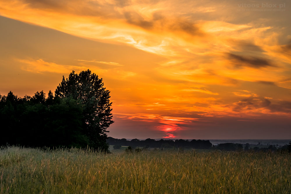 Fot. Witold Ochał, maj zachód słońca