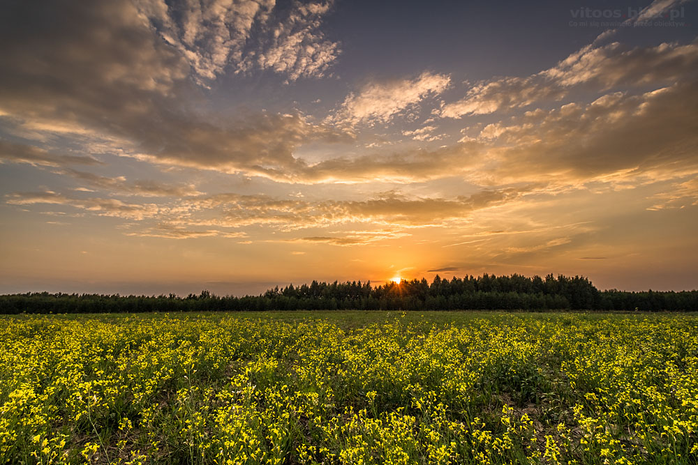 Fot. Witold Ochał, zachód słońca, Zagorzyce