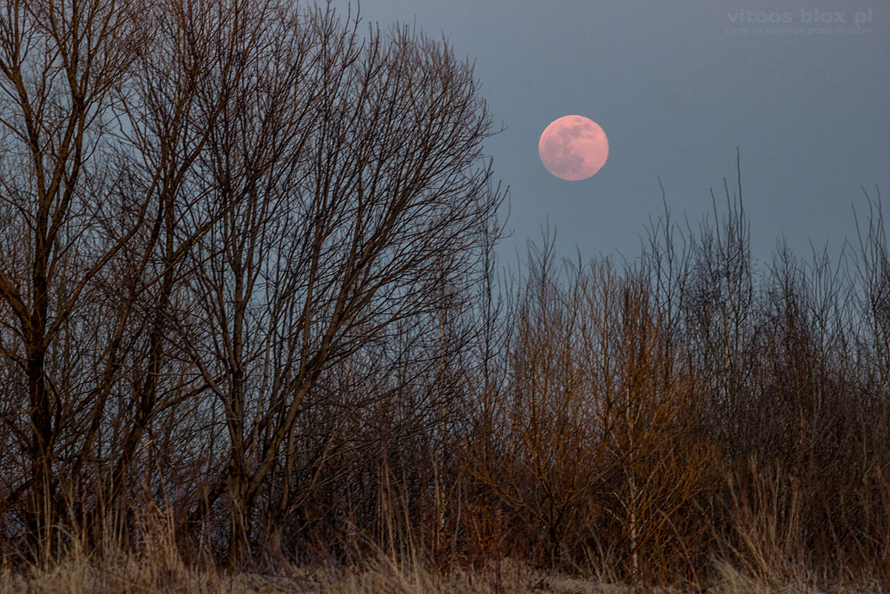 Witold Ochał, wschód Księżyca w pełni, 19.02.2019