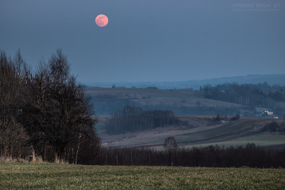 Witold Ochał, wschód Księżyca w pełni, 19.02.2019