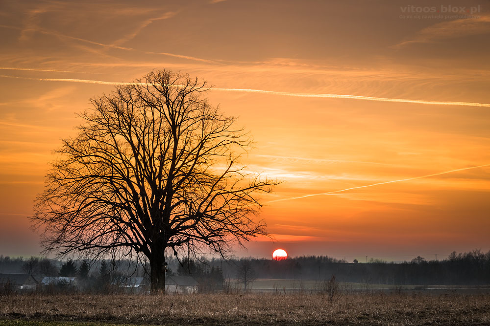 Fot. Witold Ochał, zachód słońca w Szkodnej