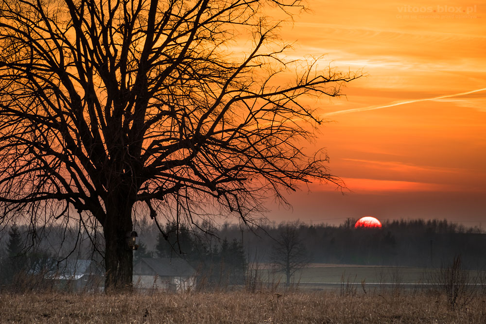 Fot. Witold Ochał, zachód słońca w Szkodnej