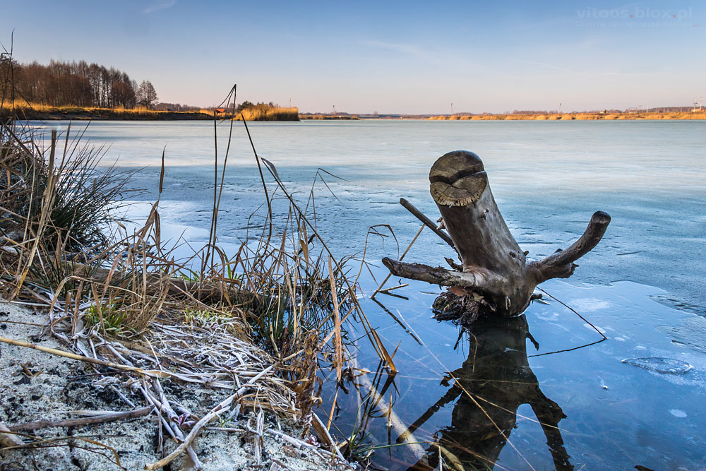 Fot. Witold Ochał, ranek na żwirowni w Czarnej Sędziszowskie