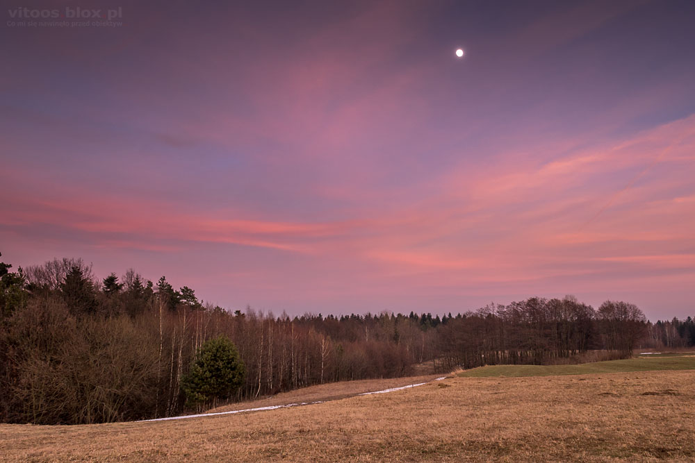 Fot. Witold Ochał, Księżyc na różowym niebie