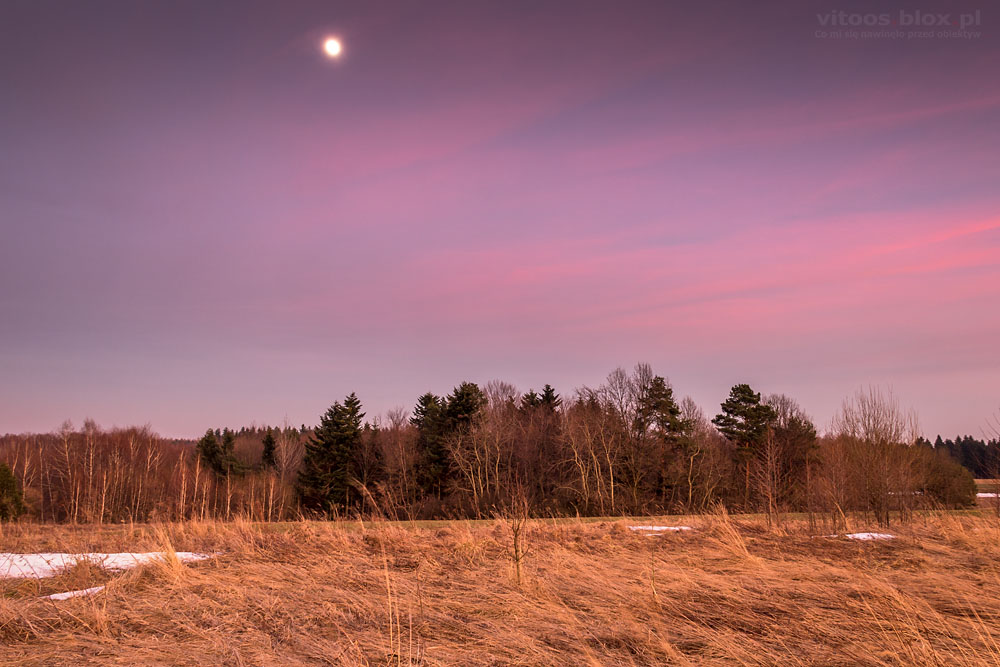 Fot. Witold Ochał, Księżyc na różowym niebie