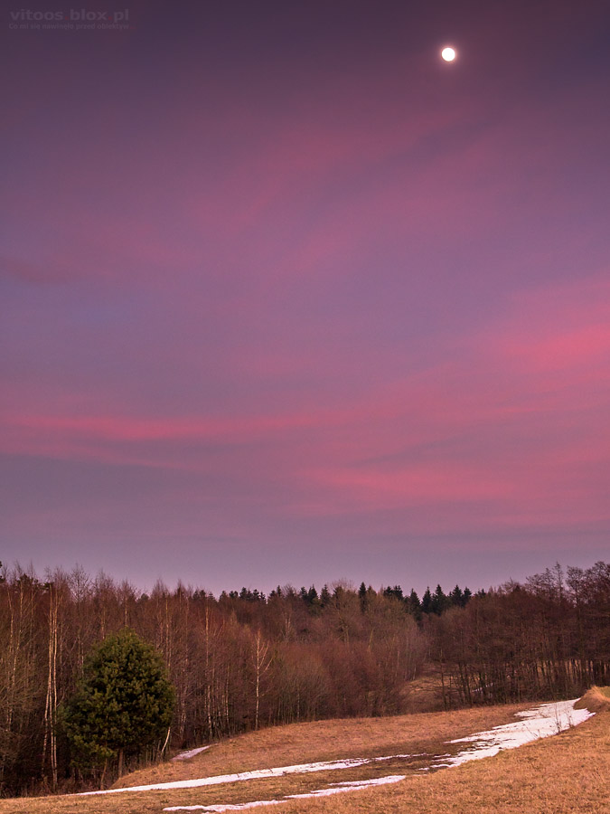 Fot. Witold Ochał, Księżyc na różowym niebie