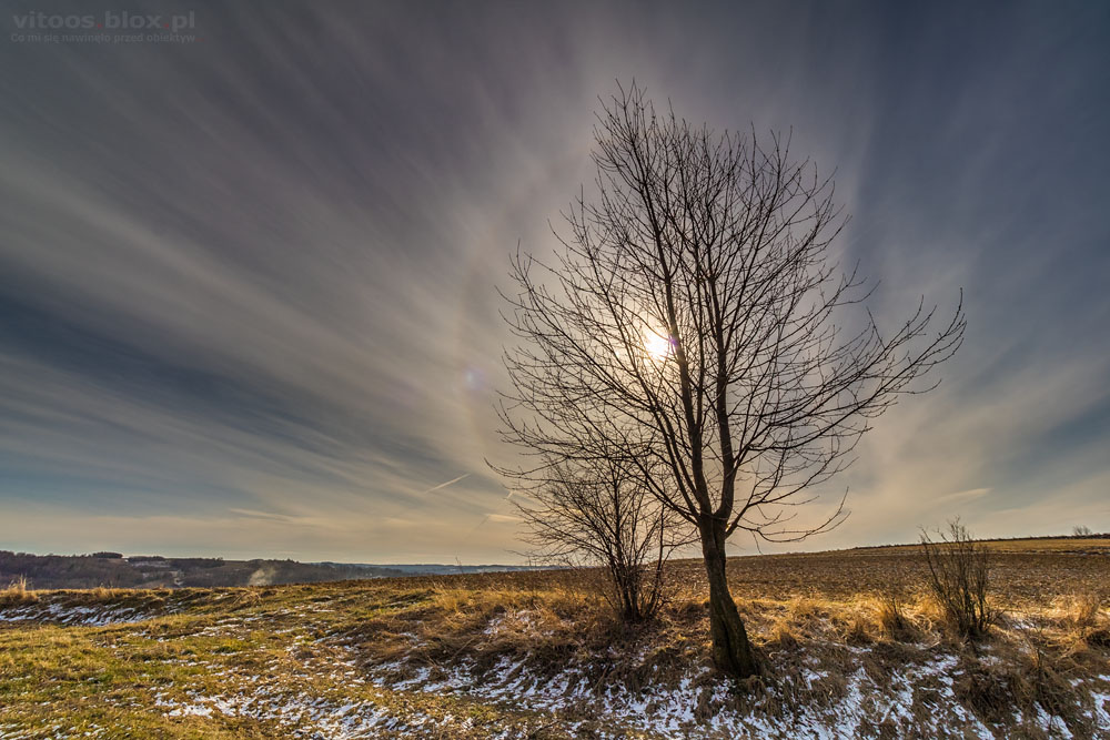 Fot. Witold Ochał, halo słoneczne 22°, Zagorzyce