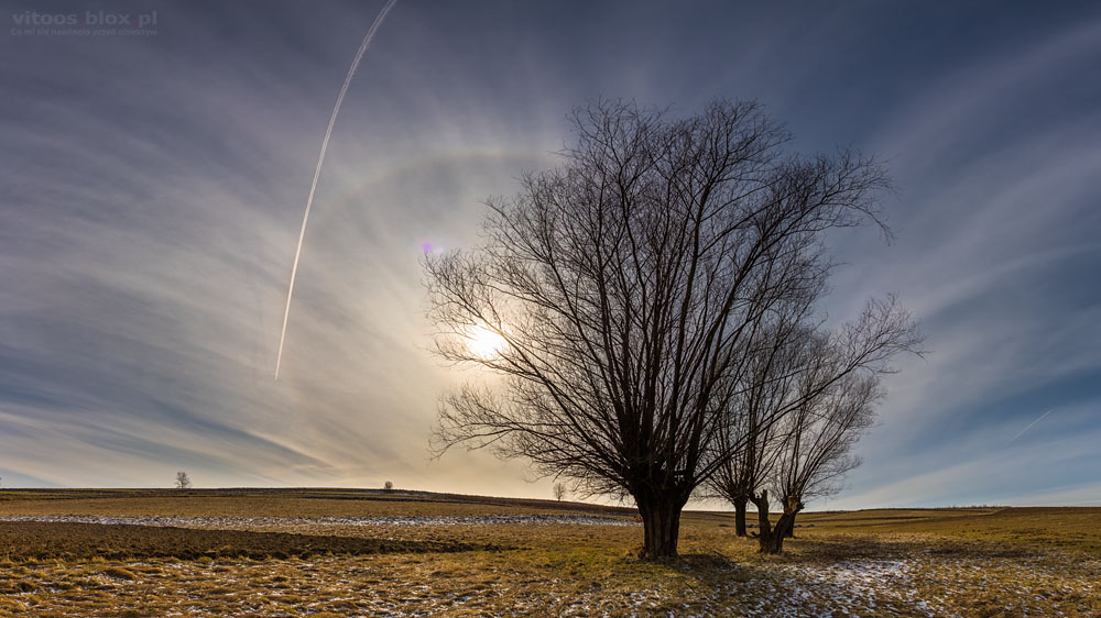 Fot. Witold Ochał, halo słoneczne 22°, Zagorzyce