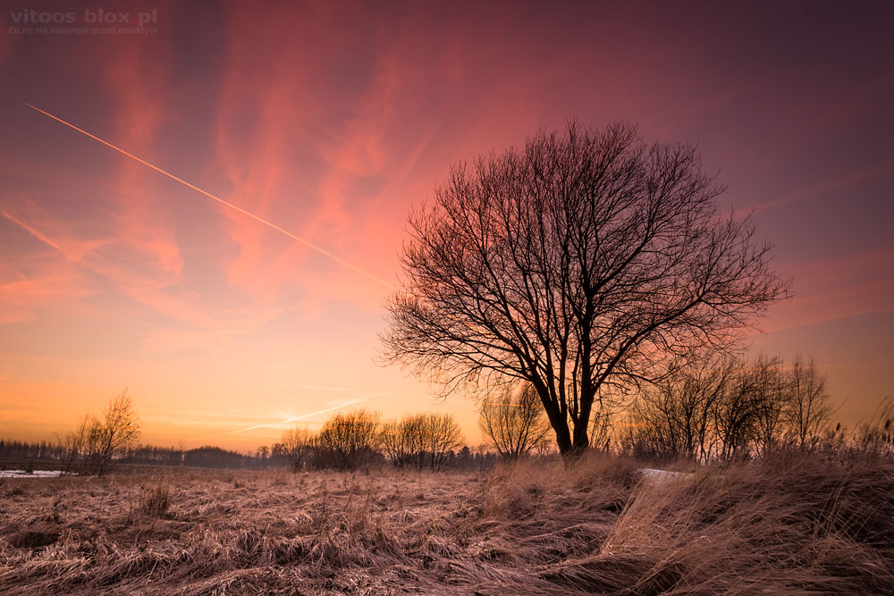 Fot. Witold Ochał, czerwony zachód słońca, Szkodna