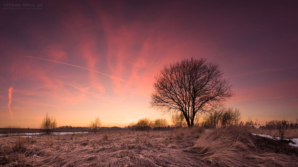 Fot. Witold Ochał, czerwony zachód słońca, Szkodna