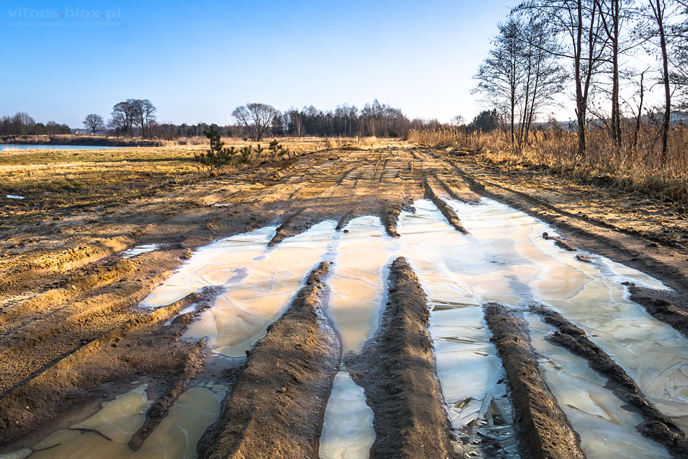 Fot. Witold Ochał, Czarna Sędziszowska