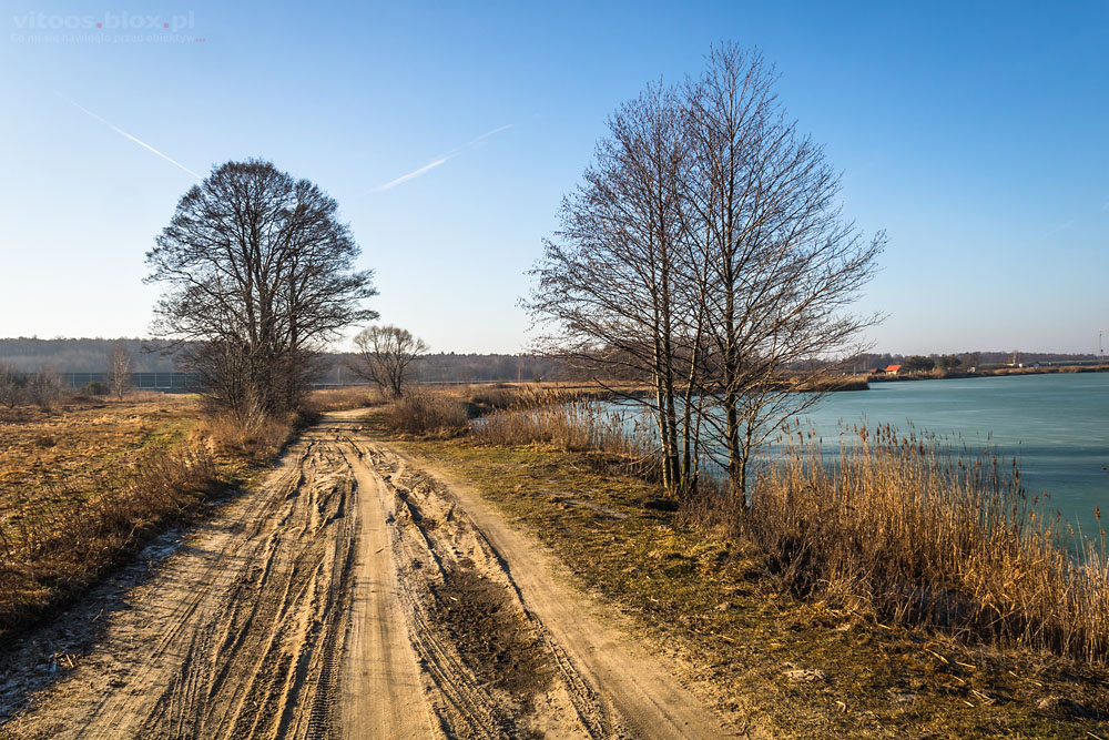 Fot. Witold Ochał, Czarna Sędziszowska