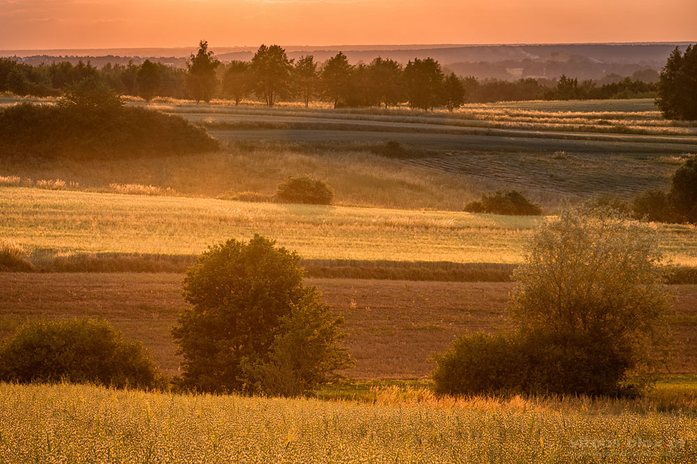 Fot. Witold Ochał, zachód słońca, Zagorzyce