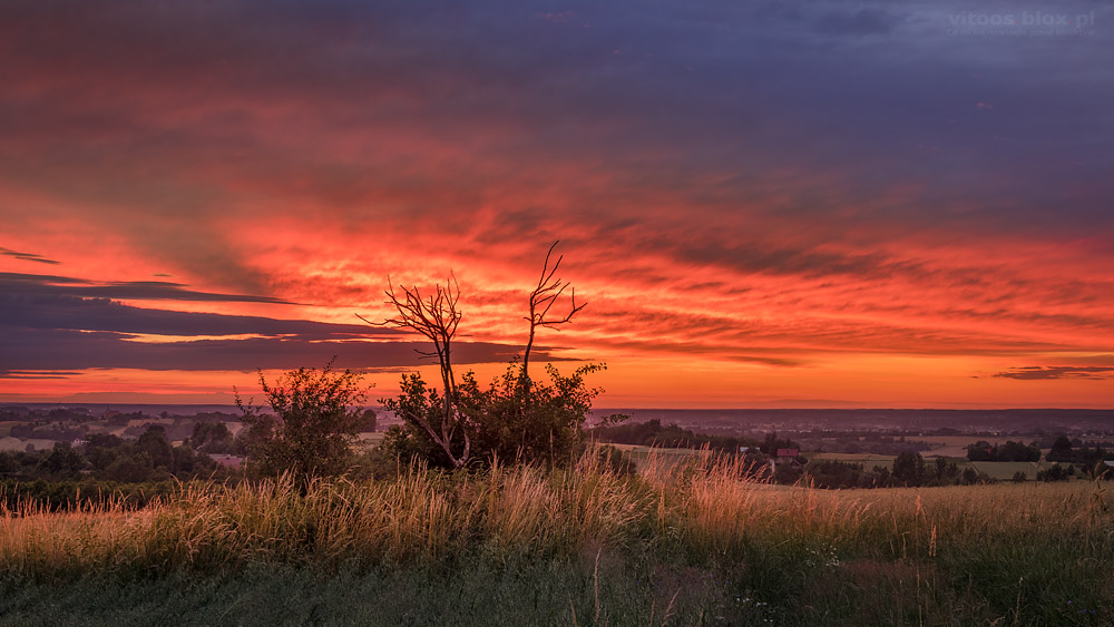 Fot. Witold Ochał, Zagorzyce, zachód słońca