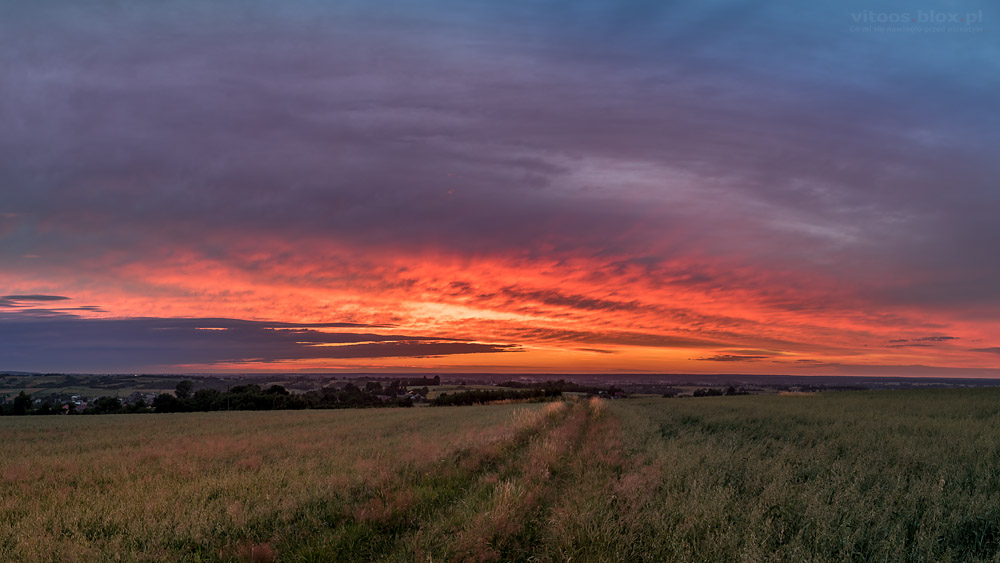Fot. Witold Ochał, Zagorzyce, zachód słońca