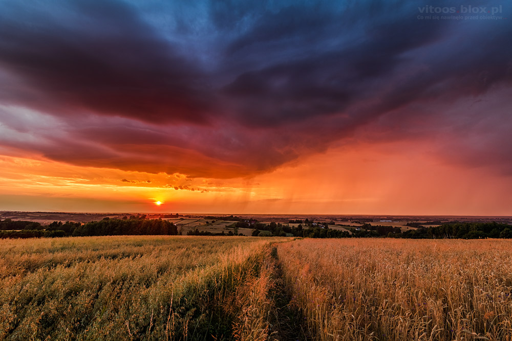 Fot. Witold Ochał, zachód słońca, smugi opadowe, Zagorzyce