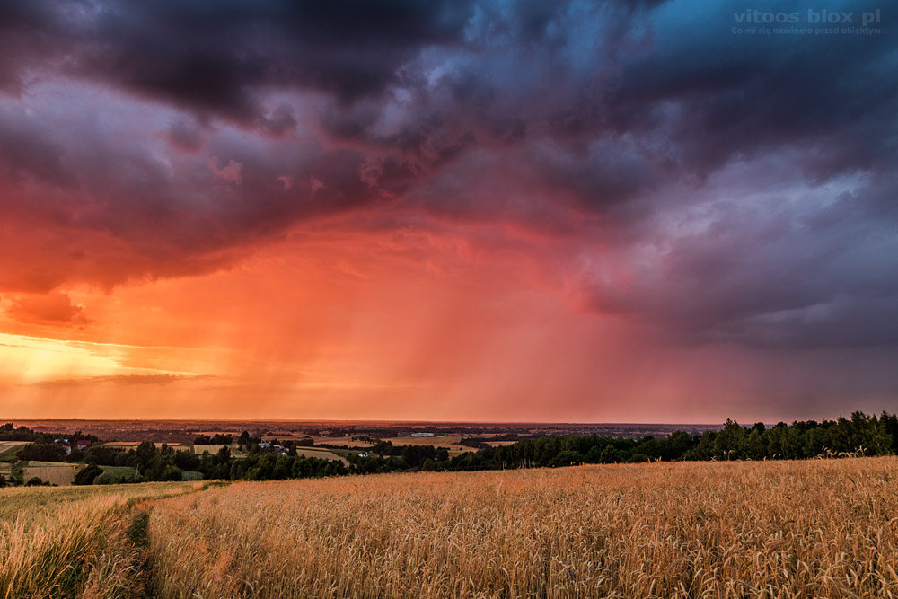 Fot. Witold Ochał, zachód słońca, smugi opadowe, Zagorzyce