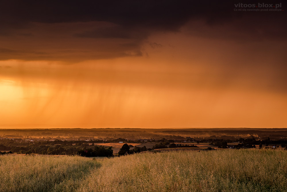 Fot. Witold Ochał, Zagorzyce, zachód słońca