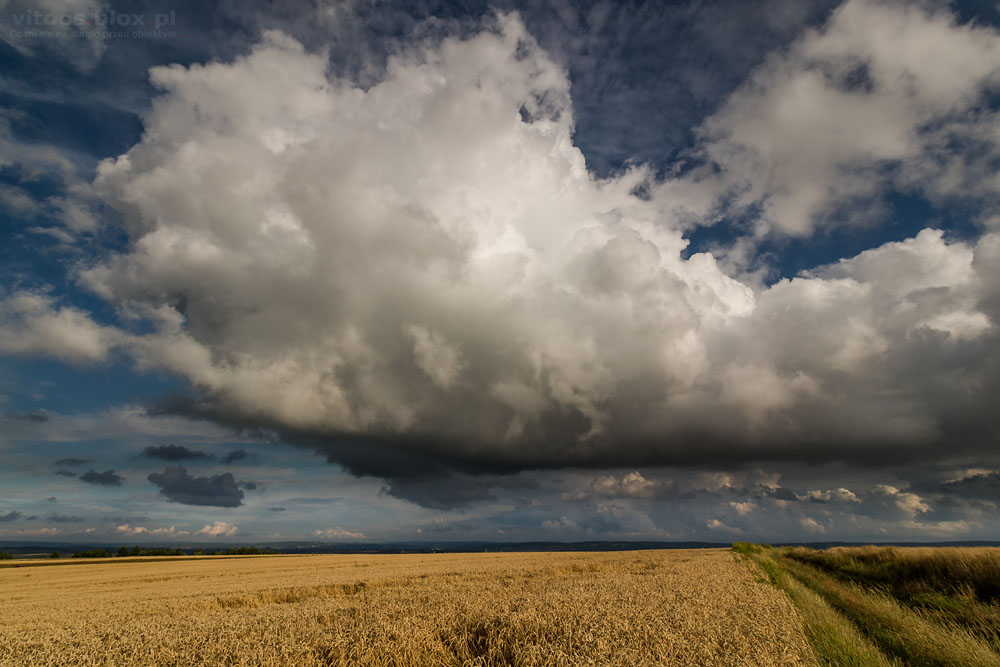 Fot. Witold Ochał, Trzciana