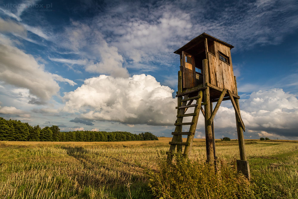 Fot. Witold Ochał, Trzciana