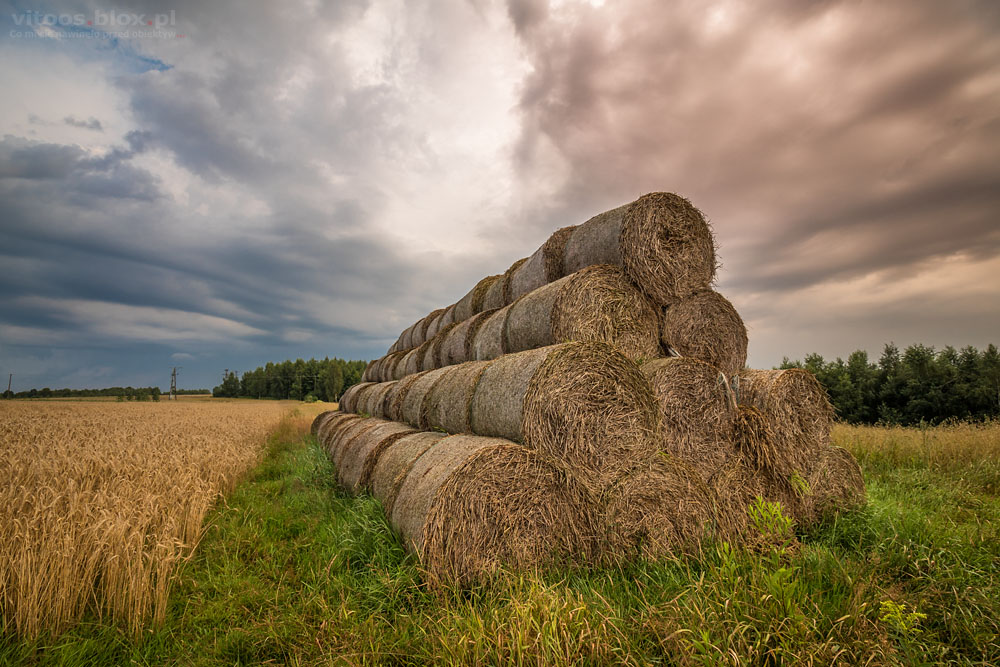 Fot. Witold Ochał, Nockowa, bele słomy