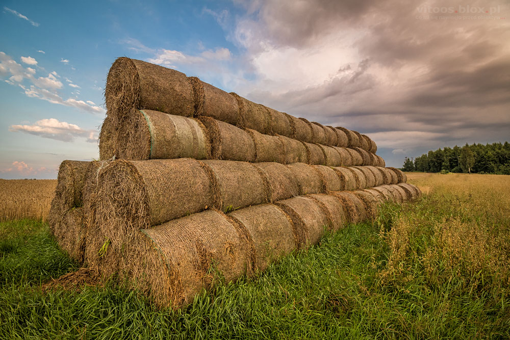 Fot. Witold Ochał, Nockowa, bele słomy