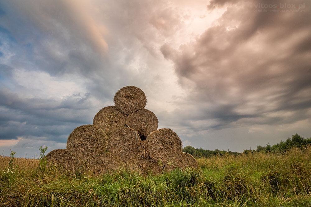 Fot. Witold Ochał, Nockowa, bele słomy