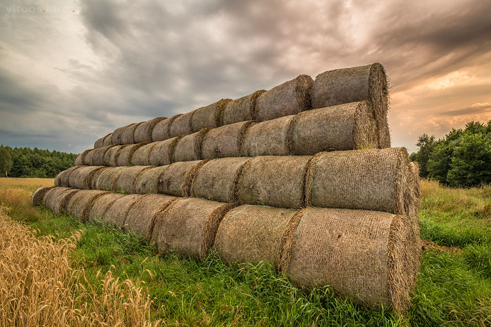 Fot. Witold Ochał, Nockowa, bele słomy